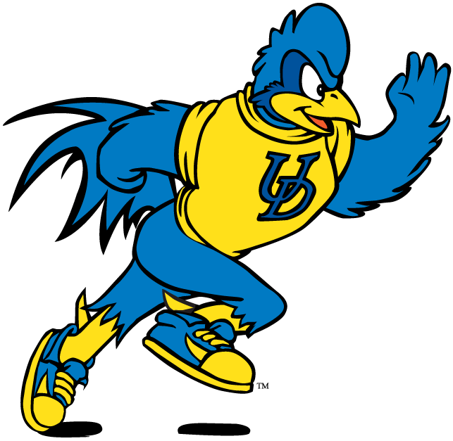 delaware blue hens 1993-pres mascot Logo v10 DIY iron on transfer (heat transfer)